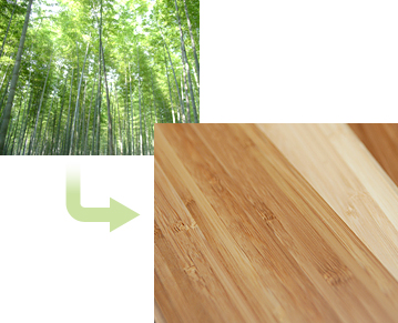 Process of turning bamboo into materials and products